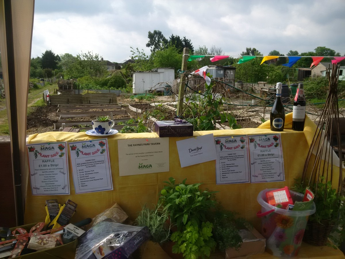 Plant_Sale_10.jpg