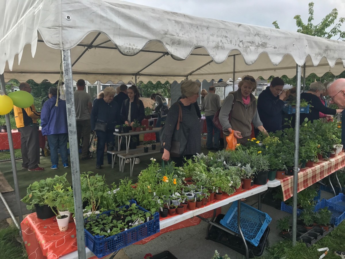 Plant_Sale_22.jpg